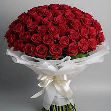 Букет 101 Красная роза Блэк Мэджик в Урухской