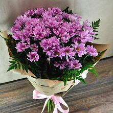 Букет цветов из:  Хризантемы #REPLACE_PRED# Урухской