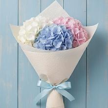Букет цветов из:  Гортензия #REPLACE_PRED# Урухской