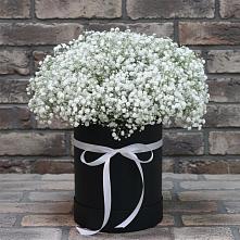 Цветочная композиция из Гипсофила в шляпной коробке в Урухской